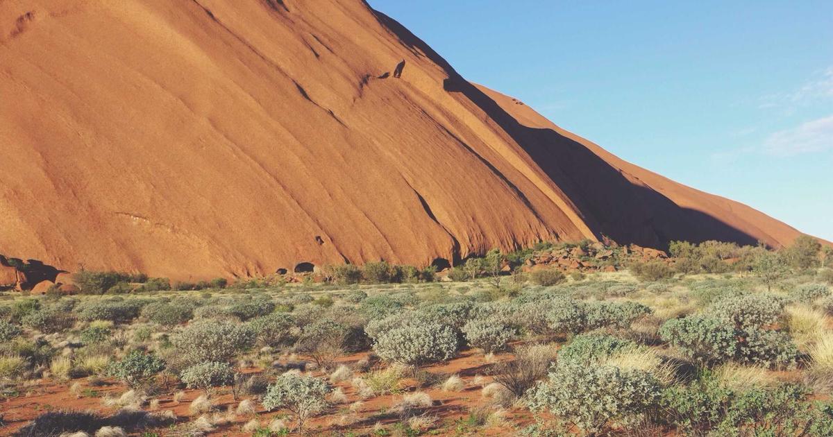 DAZN — Sports & Live