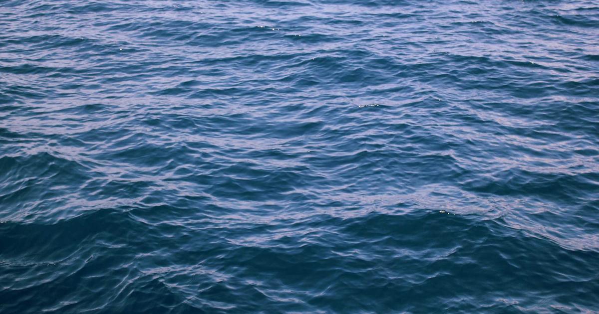 Perplexity Pro — AI